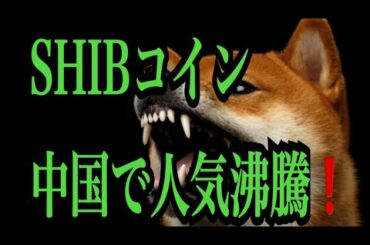 【仮想通貨憶り人チャンネル・XRPリップル・BTC・ETH・IOST情報局】SHIBコイン中国で人気沸騰！！