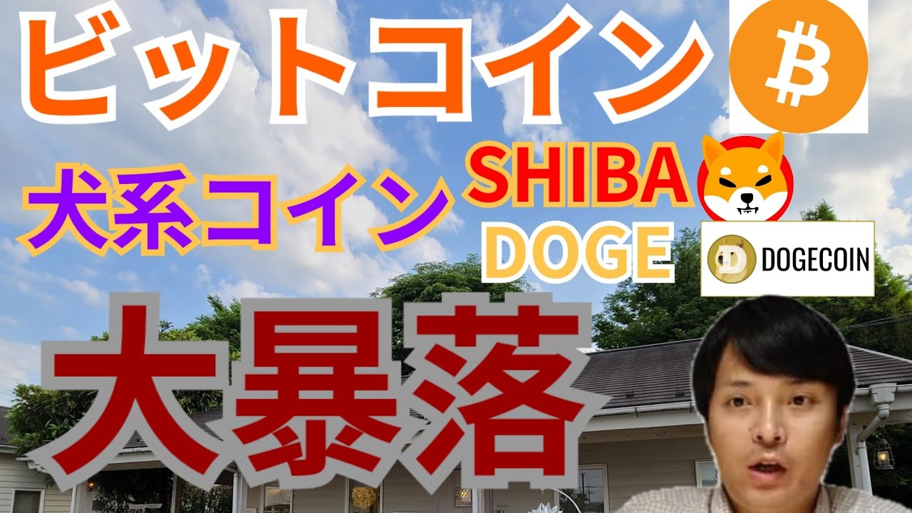 【仮想通貨BTC, ETH, XRP, IOST, DOGE, SHIB】ビットコイン&犬系コイン大暴落の理由と今後 【仮想通貨BTC, ETH, XRP, IOST, DOGE, SHIB】ビットコイン&犬系コイン大暴落の理由と今後