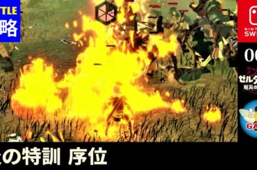 008「炎の特訓 序位」バトルチャレンジ攻略『ゼルダ無双 厄災の黙示録』Switch