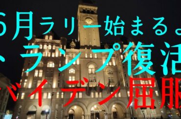 🐯ついにトランプラリー復活 屈服 壁建設決定