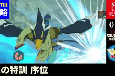 010「氷の特訓 序位」バトルチャレンジ攻略『ゼルダ無双 厄災の黙示録』Switch