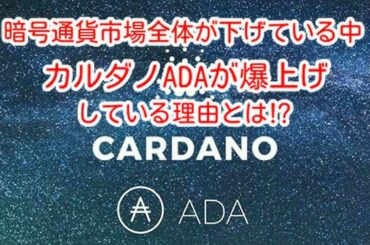 【カルダノADA】暗号通貨市場全体が下げている中、カルダノADAが爆上げしている理由とは⁉️