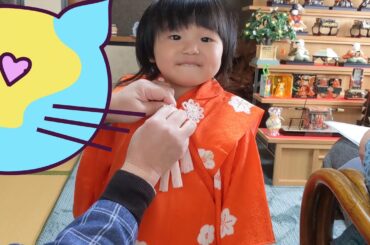 2021年のひな祭り🎎Doll's Festival