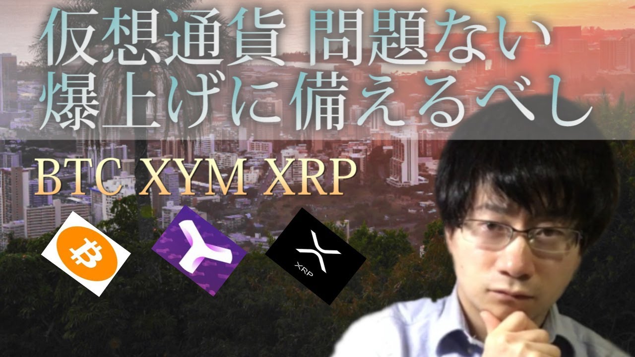 【仮想通貨ビットコイン，リップル，XYM】BTC問題ありません。