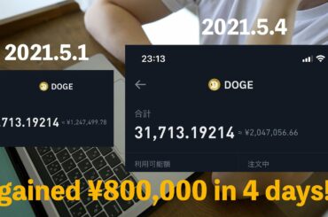【運用実績公開】Elon Musk出演のSNL直前に暗号資産のDOGEに¥870,000円投資した結果 / 2020年秋に応募したアメリカ永住権・グリーンカードの抽選結果発表日のvlog