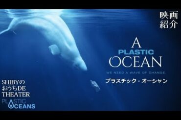 【映画紹介】プラスチックの海って何？後半は秋田の海を｜2021.5.16放送 ドキュメンタリー映画『プラスチック・オーシャン／プラスチックの海』｜Shiby のおうちDEシアター