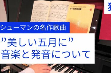 楽しく歌う＆聞く為、曲の意味を全解説。詩人の恋の一曲目