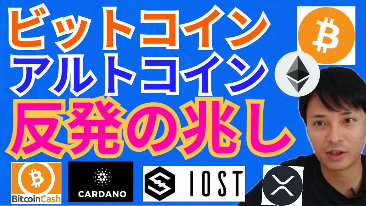 【仮想通貨BTC, ETH, XRP, BCH, IOST, ADA】ビットコイン&アルトコイン反発の兆しはある‼️諦めない‼️