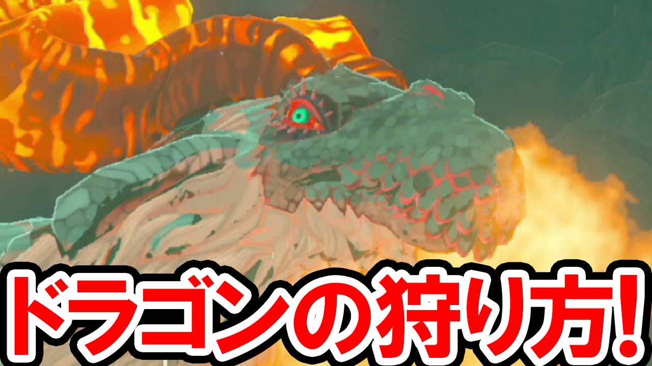 【ゼルダの伝説 BotW】フロドラ・ネルドラ・オルドラを無限ループ!ドラゴンの居場所と狩り方を公開!ゼルダの伝説 ブレス オブ ザ ワイルドの攻略動画