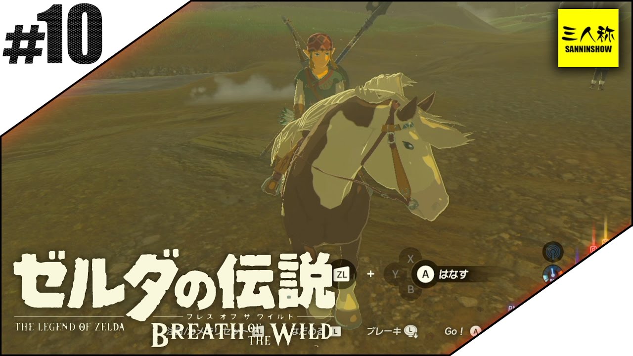#10【三人称】ドンピシャとゼルダの伝説 ブレス オブ ザ ワイルド【Switch版】