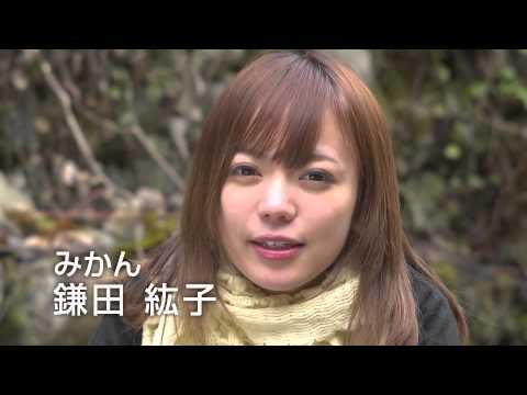 映画『こたつと、みかんと、ニャー。』予告編