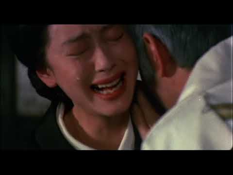 予告D【鬼龍院花子の生涯】仲代達矢、岩下志麻、夏目雅子、丹波哲郎、夏木マリ、室田日出男、夏木 勲、梅宮辰夫、成田三樹夫、小沢栄太郎、内田良平、佳那晃子、高杉かほり、中村晃子、新藤恵美。