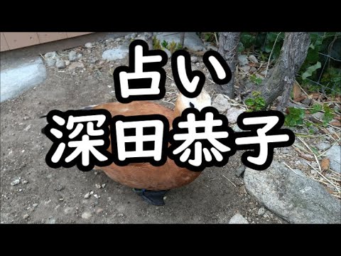 《占い》深田恭子さん《占い》