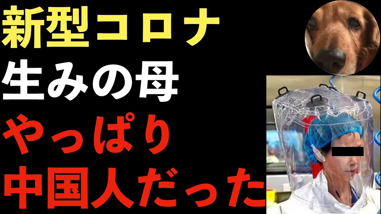 イギリス研究者がコロナウイルスが中国で人工的に作られたことを証明!国際学術誌で公開へ!WHO仕事しろ【Masaニュース雑談】