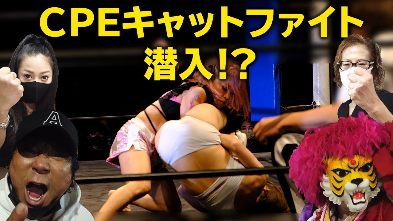 キャットファイトに潜入!オッ○イ、ポロリは当たり前⁉ CPE20周年、お祝いコメント【三代目葵マリー、小向美奈子、大仁田厚、新宿タイガー】