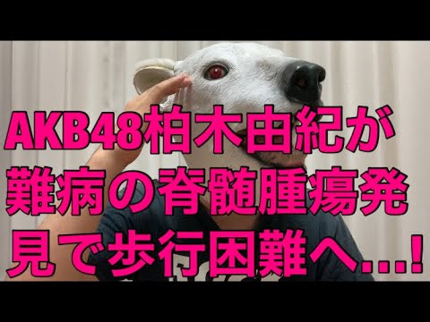 【悲報】AKB48柏木由紀が難病の脊髄腫瘍で歩行困難の可能性!治療方法やテレビで扱えた理由とは…?