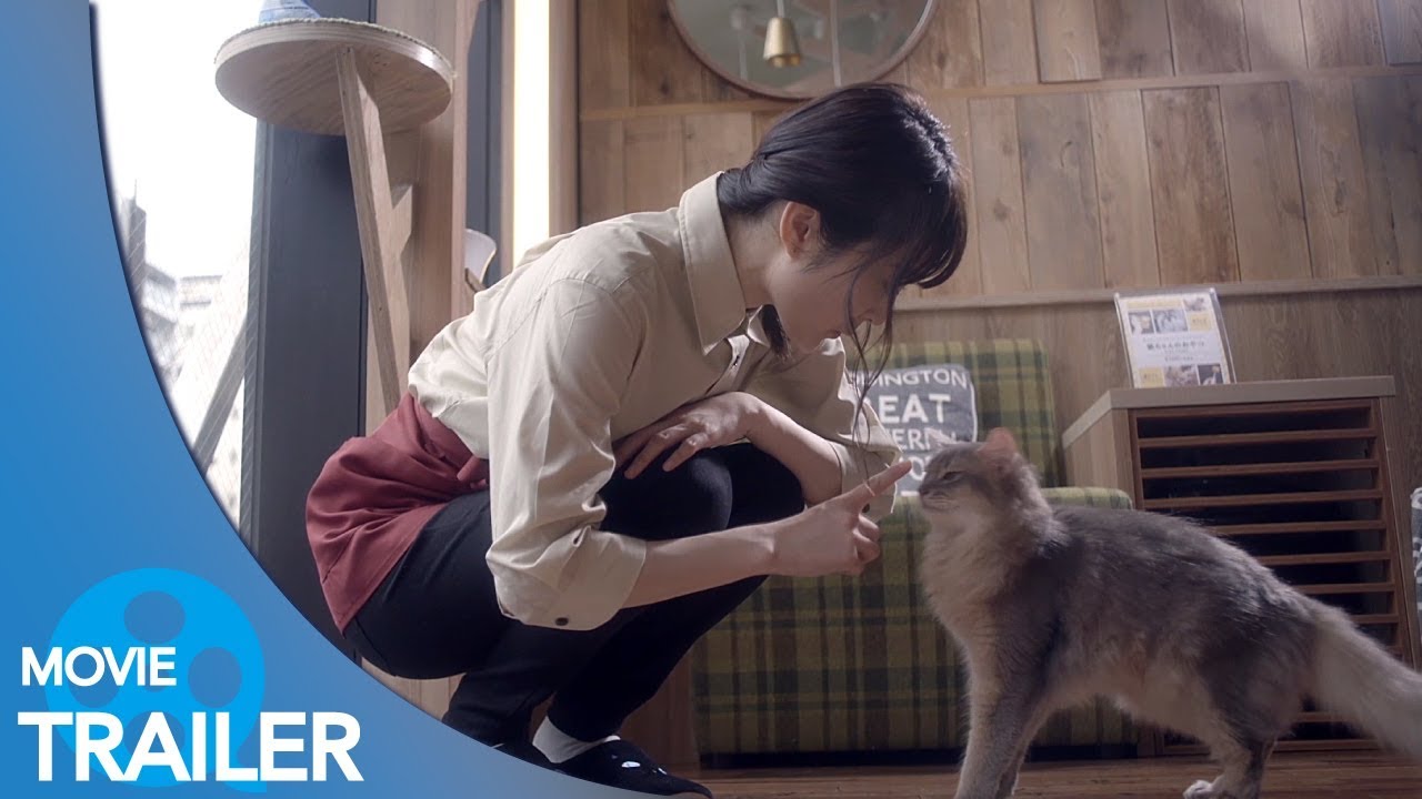 【予告編#1】猫カフェ (2018) – 久保ユリカ,新井愛瞳,小倉優香