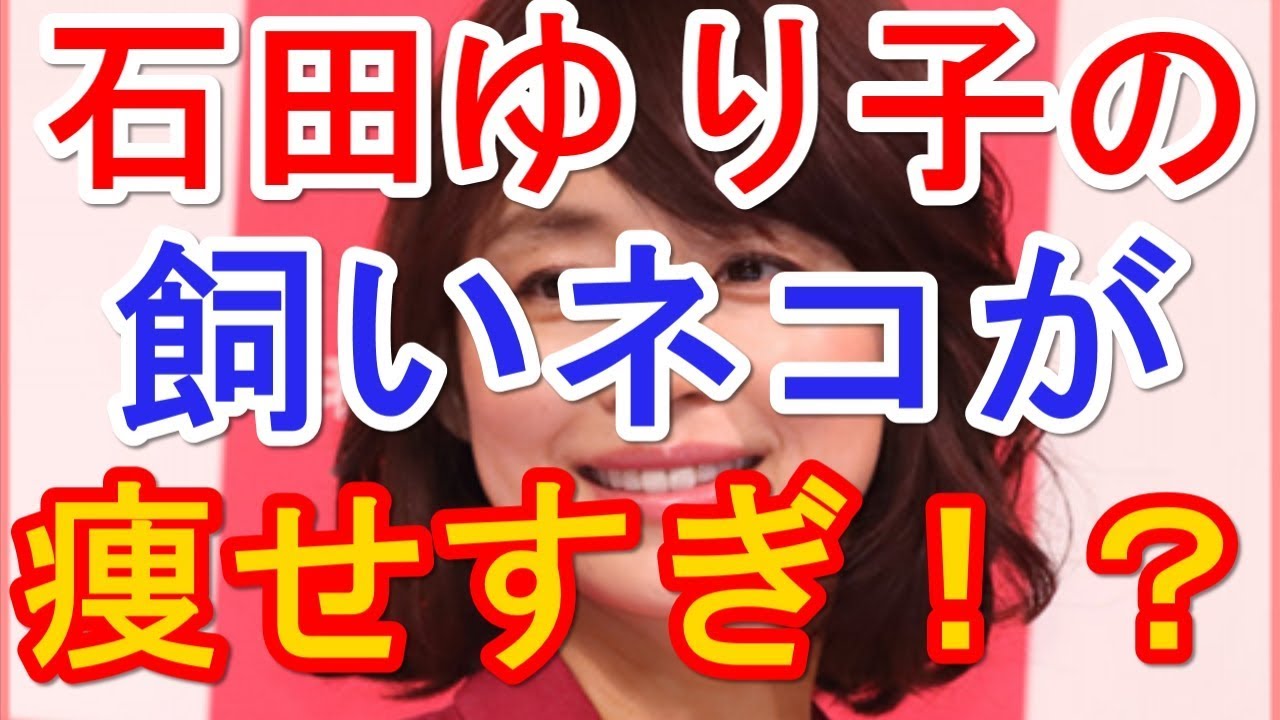 石田ゆり子が飼いネコの「痩せすぎ」指摘に反論