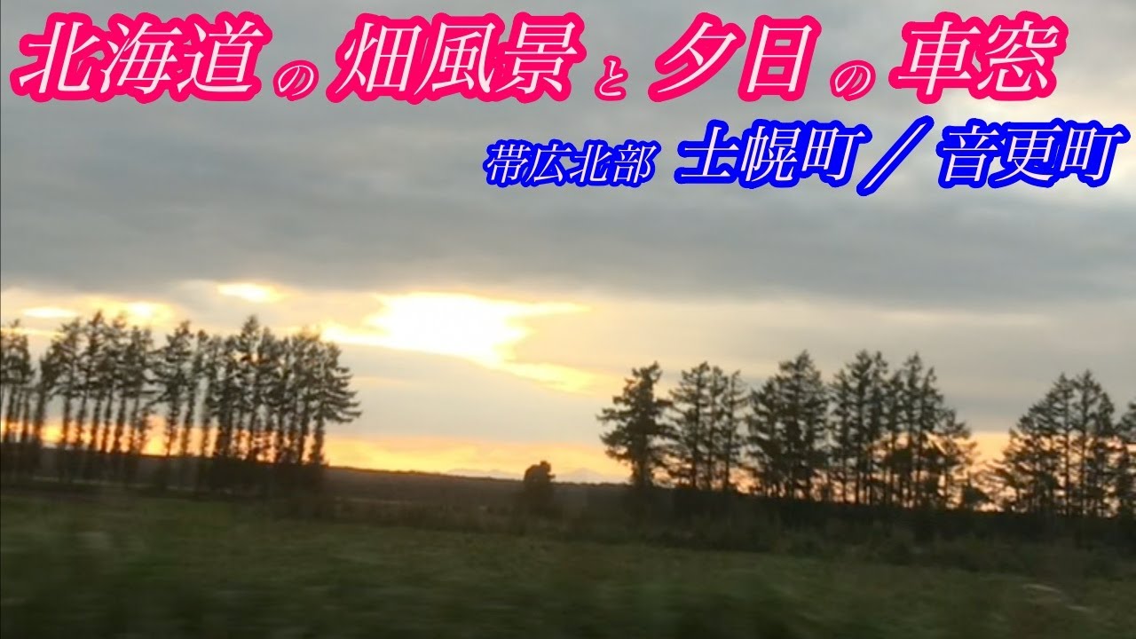 【北海道 車窓】北海道の心休まる畑風景と夕日の車窓 (縦画面推奨) / BGM: カントリーサウンド