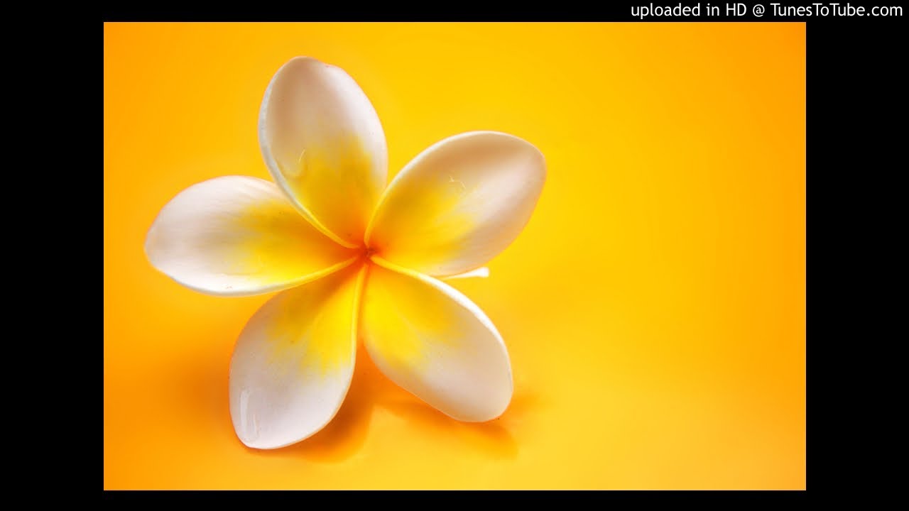 MARRY ME/Dreams Comes True