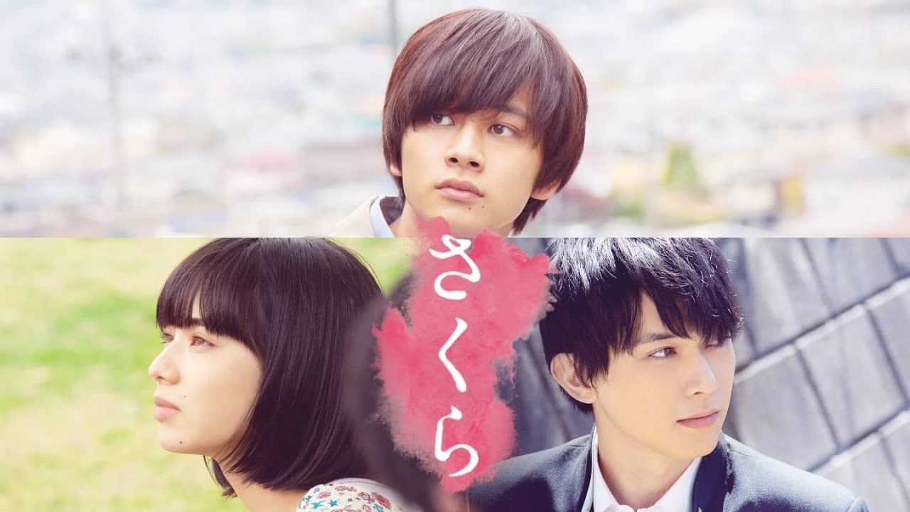 Sakura さくら 恋愛映画フル21 映画フル恋愛最新21 Yayafa