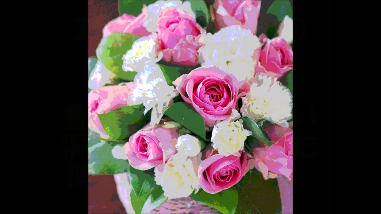 3月14日生まれの方のトリビア