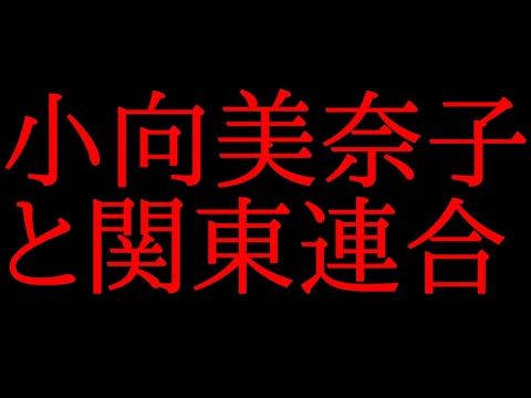 小向美奈子と関東連合について話してみた Yayafa