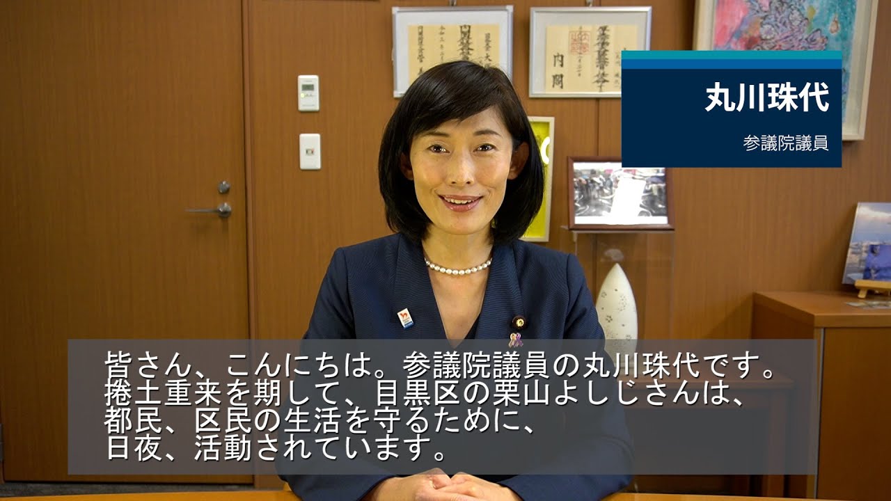 丸川珠代 オリンピック・パラリンピック競技大会担当大臣 参議院議員
