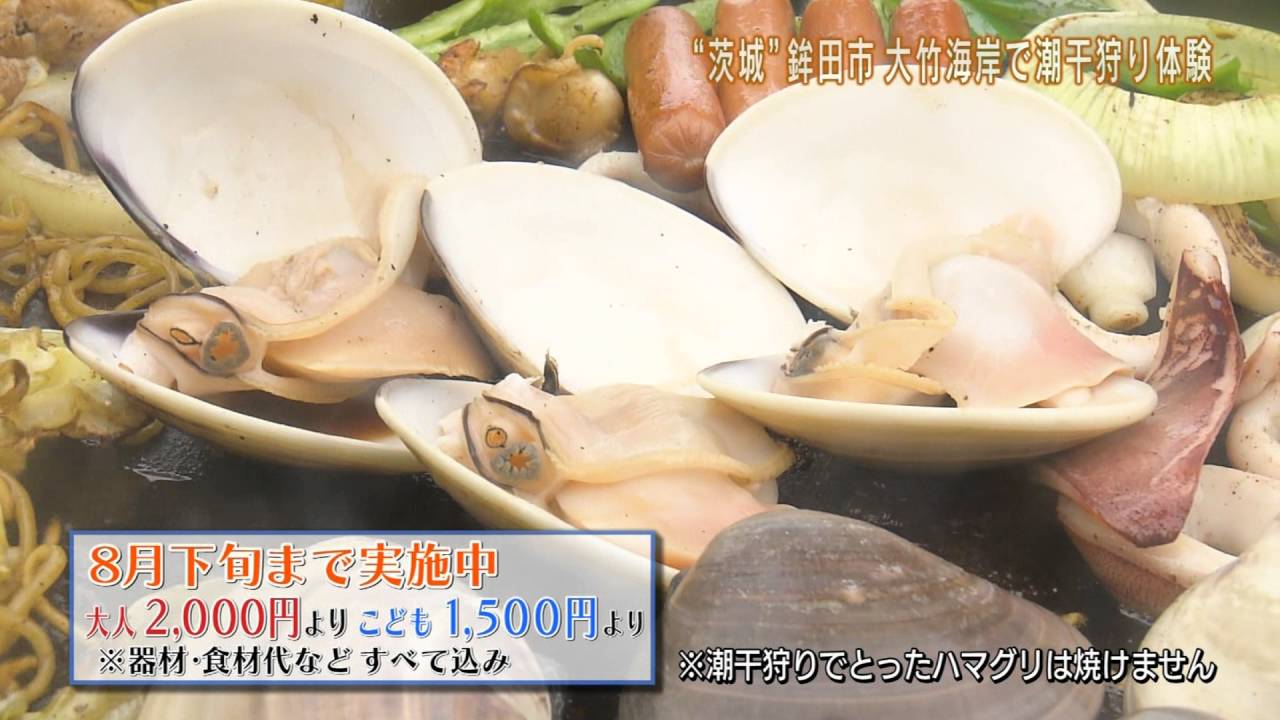 磯山さやかの旬刊!いばらき『潮干狩り体験』ダイジェスト版