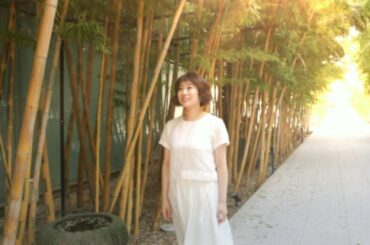 歌手かとうれい子 Yayafa 歌手かとうれい子 Yayafa