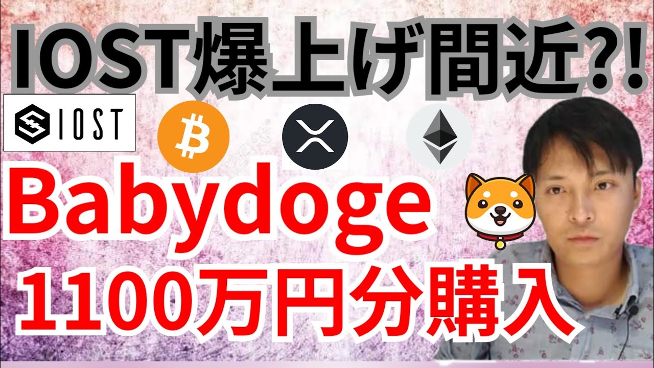 IOSTファンダの期待で爆上げ間近⁉️Babydogeを1100万円分購入した理由💰️【仮想通貨BTC, ETH, XRP, IOST, Babydogeチャート分析】