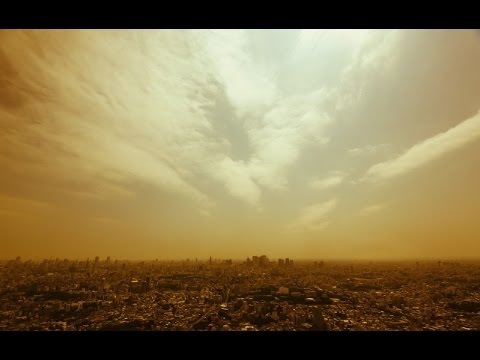 撮影現場でも!? 薬物使用か?動画流出!!小向美奈子