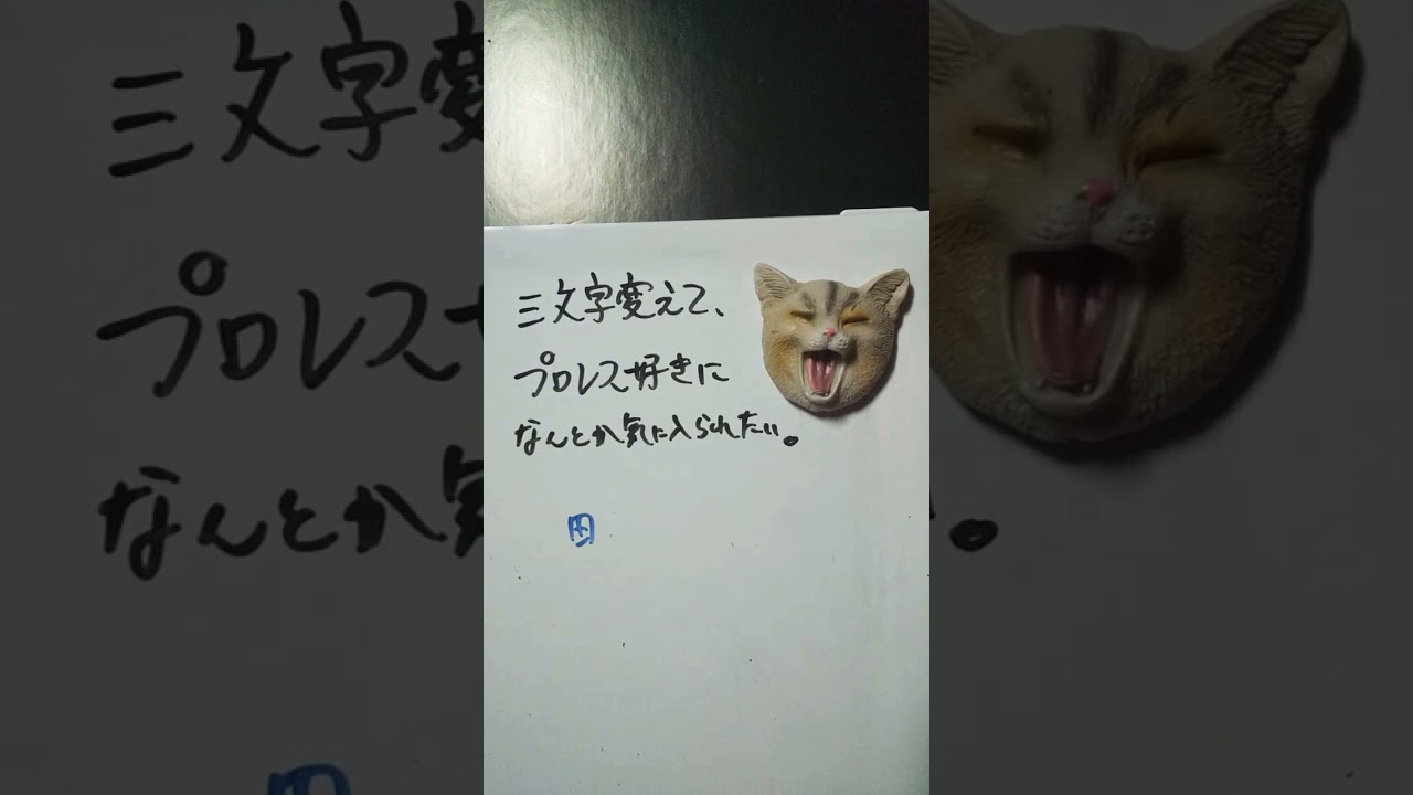 【大喜利】お題・前田敦子。三文字変えて、プロレス好きになんとか気に入られたい。 #shorts