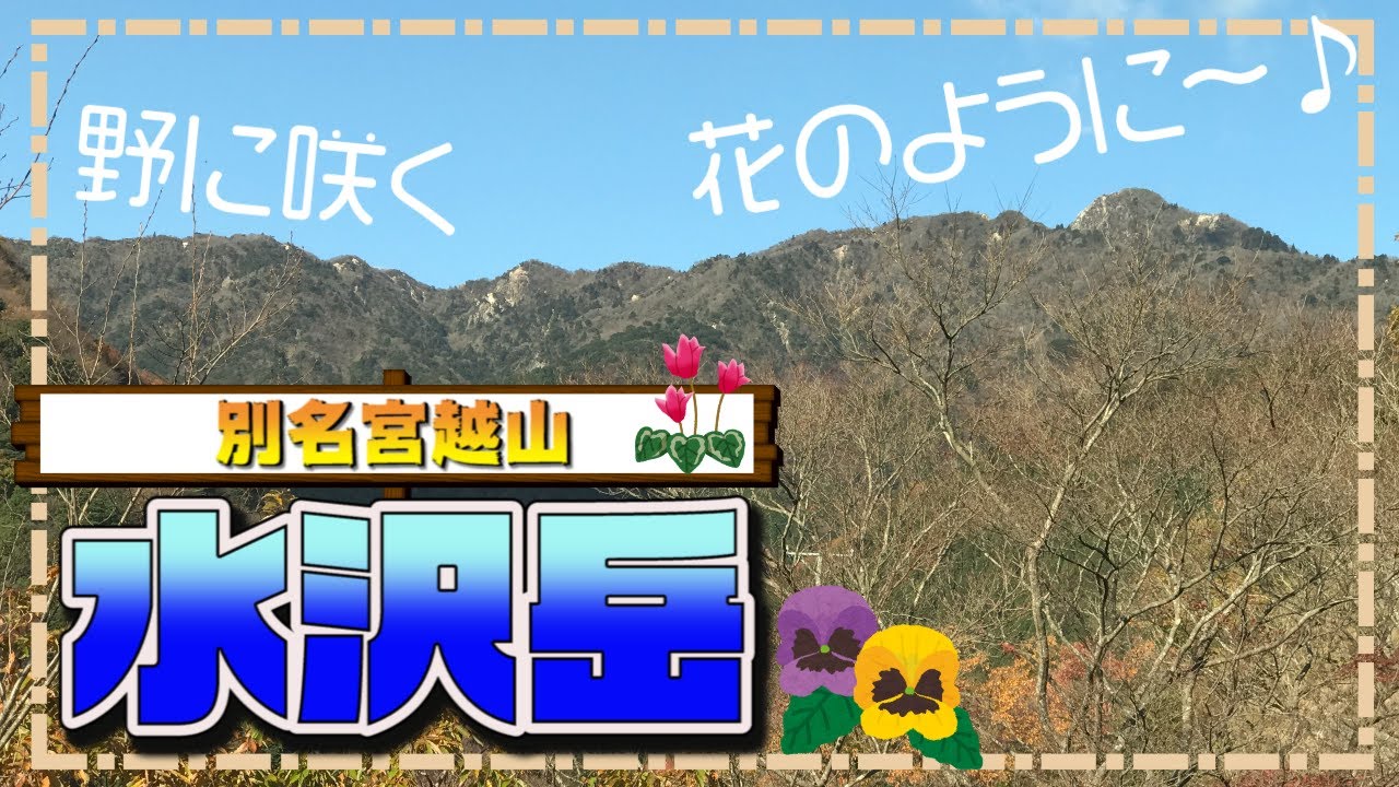 【水沢岳 登山】鎌尾根への入り口!楽しい馬の背歩き!滝もあるよ!