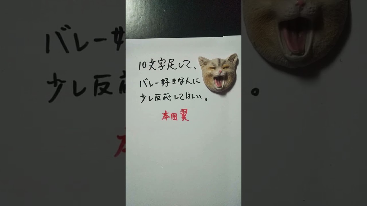 【大喜利】お題・本田翼。10文字足して、バレー好きな人に少し反応してほしい。 #shorts