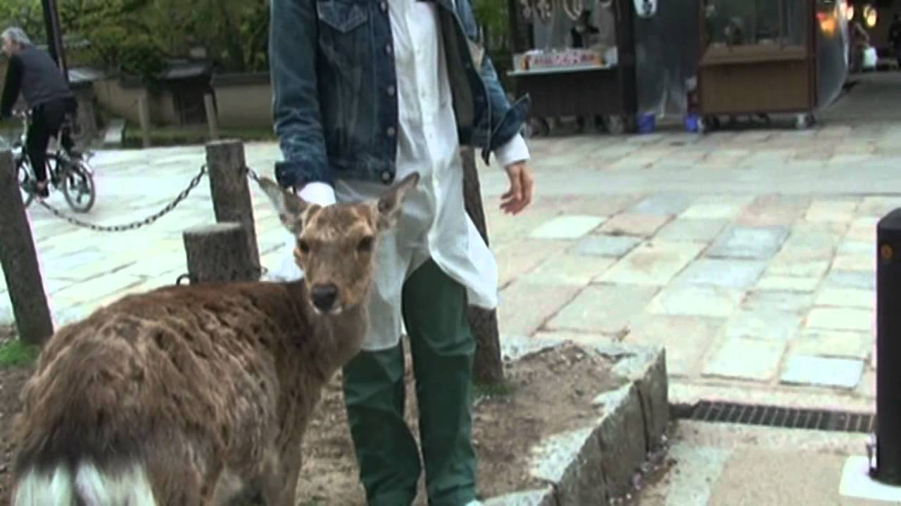 2012吉田羊IN京都③