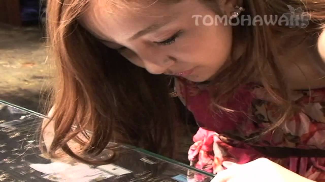 AKB48 板野友美 – TOMOHAWAII!! No2