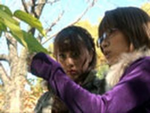 Marvelous Garden 薬草同好会活動日記 (11)「その名前にはワケがある」