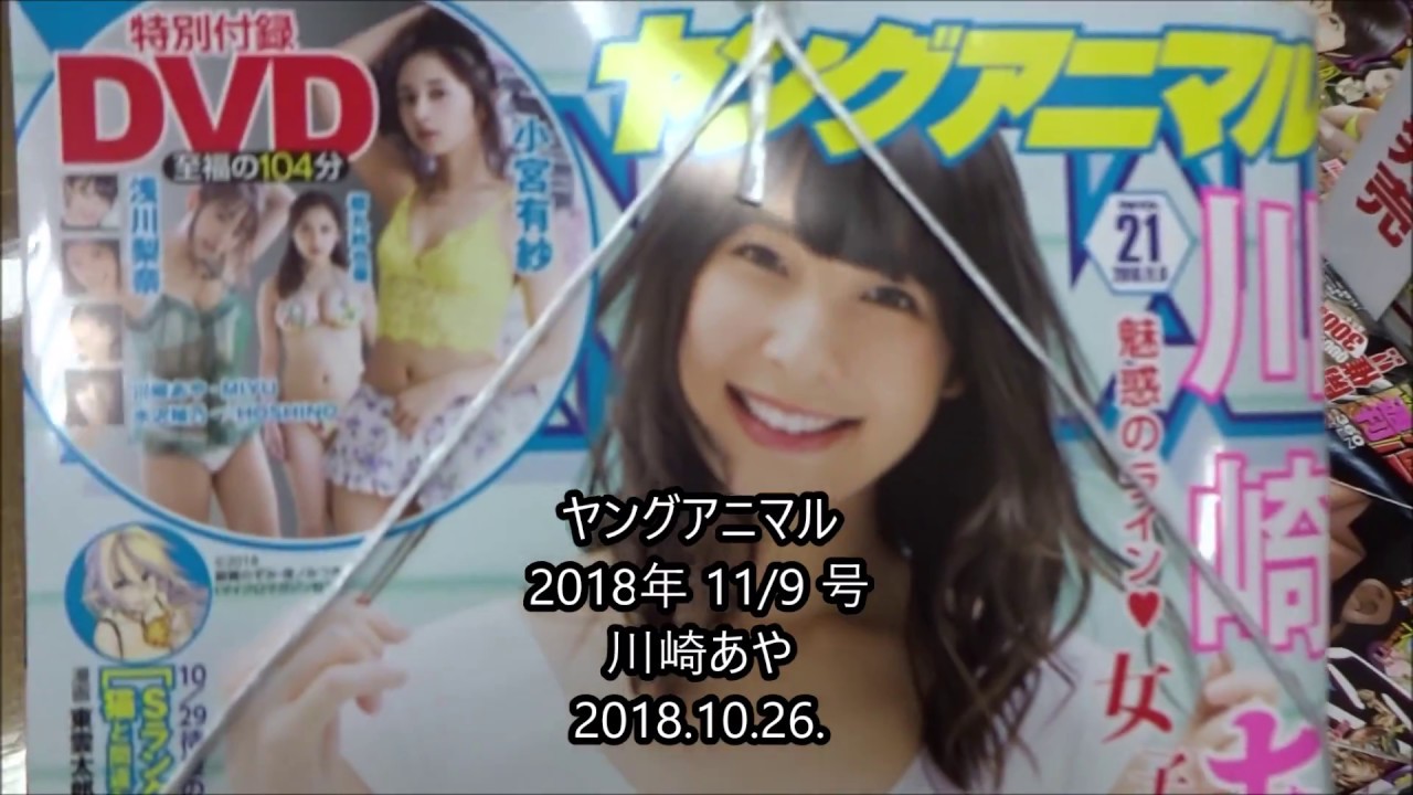 ヤングアニマル 2018年 11/9 号 川崎あや