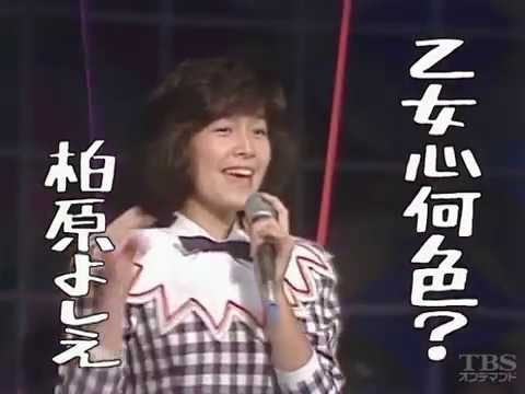 乙女心何色? 柏原芳恵