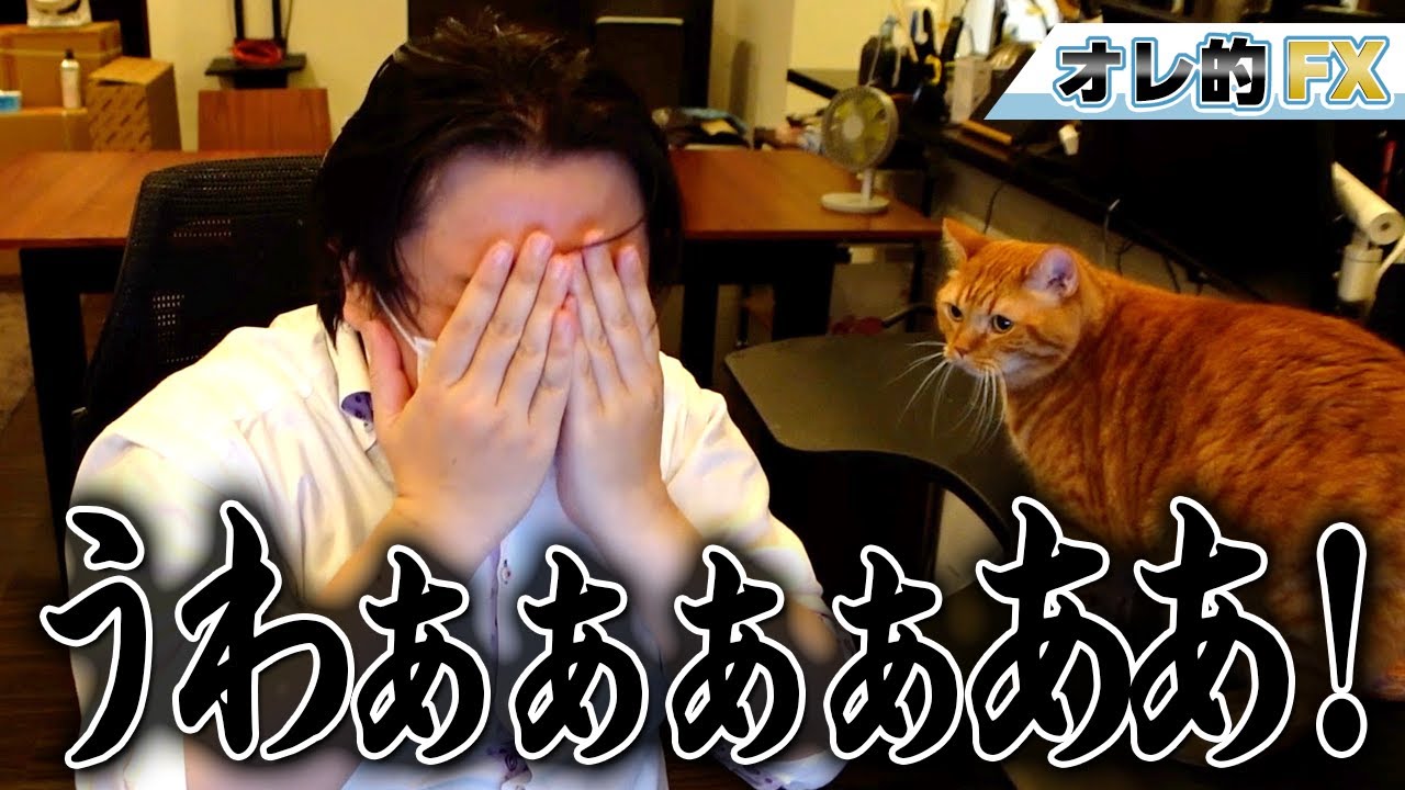 半導体&宇宙銘柄の株が大暴落!うわあああああ