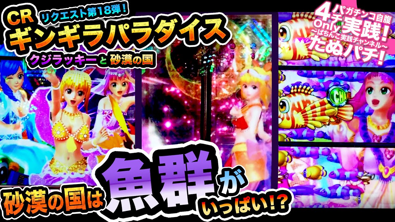 CRギンギラパラダイス〜クジラッキーと砂漠の国〜 リクエスト第18弾!砂漠の国は魚群がいっぱい!?【たぬパチ!】