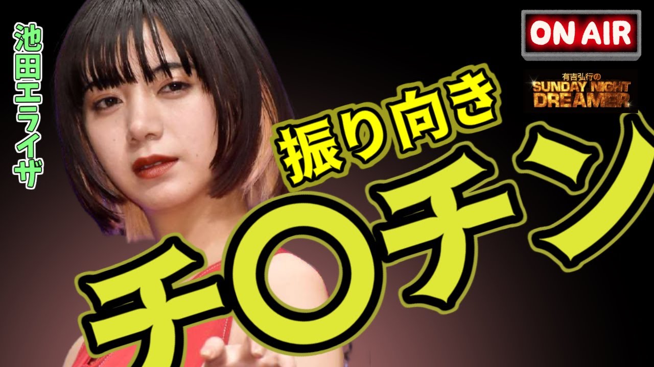 【有吉】ジブリ作品へ影響を与えるゲスナー【サンドリ 文字起こし】