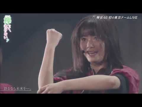 そこ曲がったら、櫻坂? 2019年10月06日 欅坂46初めての東京ドームライブに土田&澤部が潜入!
