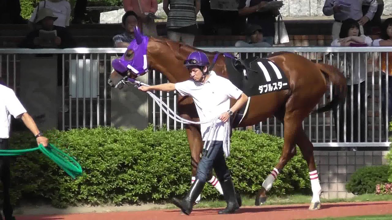 2015 8/29 BSN賞 パドック 現地映像 ダノンリバティ