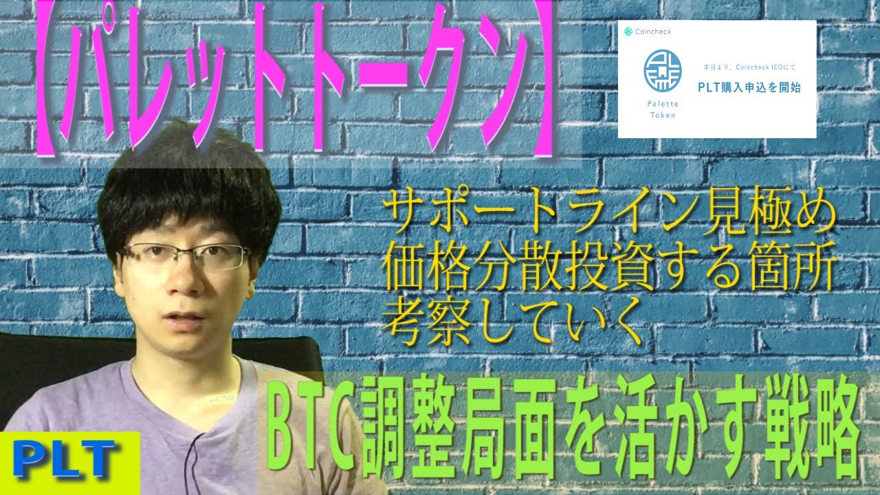 【パレットトークン】暗号通貨、一旦の調整局面突入。パレットトークンのサポートラインを見極めどこで分散購入するのが良いか考察していく。