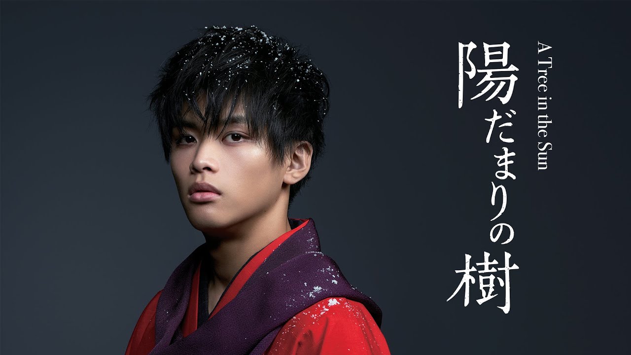 A Tree in the Sun【陽だまりの樹】