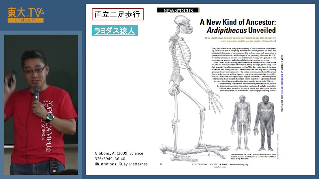 近藤 修「サルからヒトへ:ヒトの進化を考える」ー高校生のための東京大学オープンキャンパス2017 模擬講義