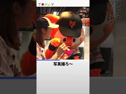 【稲村亜美×ジャビット】神宮球場デート【TODAY】