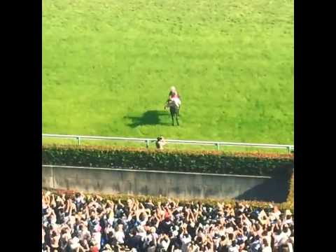 【小嶋陽菜 Instagram】 140601 AKB48 Kojima Haruna